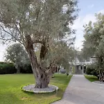 Elaia 5 *